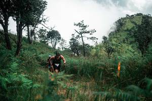 BIB: 
                            <button type="button" onclick="openModal(26085655)" class="btn btn-primary btn-sm float-right btn-popup" data-toggle="modal" data-target=".modal-high-quality">
                        <i class="fas fa-shopping-cart"></i> Add to Cart
                    </button>
                                            <button type="button" onclick="isThisMe(26085655, true)" class="btn btn-success btn-sm float-right btn-popup btn-isme hidden" data-toggle="tooltip" data-placement="bottom" title="นี่คือรูปของคุณใช่ไหม คลิกที่นี่เพื่อเอาเข้าอัลบั้ม">
                        <i class="fas fa-plus"></i> Add to album
                    </button>
                    <button type="button" onclick="isThisMe(26085655, false)" class="btn btn-warning btn-sm float-right btn-popup btn-isnotme hidden">
                        <i class="fas fa-ban"></i> Remove from album
                    </button>