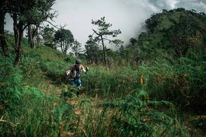 BIB: 
                            <button type="button" onclick="openModal(26087062)" class="btn btn-primary btn-sm float-right btn-popup" data-toggle="modal" data-target=".modal-high-quality">
                        <i class="fas fa-shopping-cart"></i> Add to Cart
                    </button>
                                            <button type="button" onclick="isThisMe(26087062, true)" class="btn btn-success btn-sm float-right btn-popup btn-isme hidden" data-toggle="tooltip" data-placement="bottom" title="นี่คือรูปของคุณใช่ไหม คลิกที่นี่เพื่อเอาเข้าอัลบั้ม">
                        <i class="fas fa-plus"></i> Add to album
                    </button>
                    <button type="button" onclick="isThisMe(26087062, false)" class="btn btn-warning btn-sm float-right btn-popup btn-isnotme hidden">
                        <i class="fas fa-ban"></i> Remove from album
                    </button>