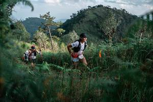 BIB: 
                            <button type="button" onclick="openModal(26120264)" class="btn btn-primary btn-sm float-right btn-popup" data-toggle="modal" data-target=".modal-high-quality">
                        <i class="fas fa-shopping-cart"></i> Add to Cart
                    </button>
                                            <button type="button" onclick="isThisMe(26120264, true)" class="btn btn-success btn-sm float-right btn-popup btn-isme hidden" data-toggle="tooltip" data-placement="bottom" title="นี่คือรูปของคุณใช่ไหม คลิกที่นี่เพื่อเอาเข้าอัลบั้ม">
                        <i class="fas fa-plus"></i> Add to album
                    </button>
                    <button type="button" onclick="isThisMe(26120264, false)" class="btn btn-warning btn-sm float-right btn-popup btn-isnotme hidden">
                        <i class="fas fa-ban"></i> Remove from album
                    </button>