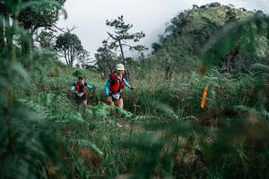 BIB: 
                            <button type="button" onclick="openModal(26089841)" class="btn btn-primary btn-sm float-right btn-popup" data-toggle="modal" data-target=".modal-high-quality">
                        <i class="fas fa-shopping-cart"></i> Add to Cart
                    </button>
                                            <button type="button" onclick="isThisMe(26089841, true)" class="btn btn-success btn-sm float-right btn-popup btn-isme hidden" data-toggle="tooltip" data-placement="bottom" title="นี่คือรูปของคุณใช่ไหม คลิกที่นี่เพื่อเอาเข้าอัลบั้ม">
                        <i class="fas fa-plus"></i> Add to album
                    </button>
                    <button type="button" onclick="isThisMe(26089841, false)" class="btn btn-warning btn-sm float-right btn-popup btn-isnotme hidden">
                        <i class="fas fa-ban"></i> Remove from album
                    </button>