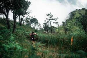 BIB: 
                            <button type="button" onclick="openModal(26085642)" class="btn btn-primary btn-sm float-right btn-popup" data-toggle="modal" data-target=".modal-high-quality">
                        <i class="fas fa-shopping-cart"></i> Add to Cart
                    </button>
                                            <button type="button" onclick="isThisMe(26085642, true)" class="btn btn-success btn-sm float-right btn-popup btn-isme hidden" data-toggle="tooltip" data-placement="bottom" title="นี่คือรูปของคุณใช่ไหม คลิกที่นี่เพื่อเอาเข้าอัลบั้ม">
                        <i class="fas fa-plus"></i> Add to album
                    </button>
                    <button type="button" onclick="isThisMe(26085642, false)" class="btn btn-warning btn-sm float-right btn-popup btn-isnotme hidden">
                        <i class="fas fa-ban"></i> Remove from album
                    </button>