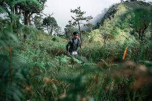 BIB: 
                            <button type="button" onclick="openModal(26093606)" class="btn btn-primary btn-sm float-right btn-popup" data-toggle="modal" data-target=".modal-high-quality">
                        <i class="fas fa-shopping-cart"></i> Add to Cart
                    </button>
                                            <button type="button" onclick="isThisMe(26093606, true)" class="btn btn-success btn-sm float-right btn-popup btn-isme hidden" data-toggle="tooltip" data-placement="bottom" title="นี่คือรูปของคุณใช่ไหม คลิกที่นี่เพื่อเอาเข้าอัลบั้ม">
                        <i class="fas fa-plus"></i> Add to album
                    </button>
                    <button type="button" onclick="isThisMe(26093606, false)" class="btn btn-warning btn-sm float-right btn-popup btn-isnotme hidden">
                        <i class="fas fa-ban"></i> Remove from album
                    </button>