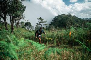 BIB: 
                            <button type="button" onclick="openModal(26087528)" class="btn btn-primary btn-sm float-right btn-popup" data-toggle="modal" data-target=".modal-high-quality">
                        <i class="fas fa-shopping-cart"></i> Add to Cart
                    </button>
                                            <button type="button" onclick="isThisMe(26087528, true)" class="btn btn-success btn-sm float-right btn-popup btn-isme hidden" data-toggle="tooltip" data-placement="bottom" title="นี่คือรูปของคุณใช่ไหม คลิกที่นี่เพื่อเอาเข้าอัลบั้ม">
                        <i class="fas fa-plus"></i> Add to album
                    </button>
                    <button type="button" onclick="isThisMe(26087528, false)" class="btn btn-warning btn-sm float-right btn-popup btn-isnotme hidden">
                        <i class="fas fa-ban"></i> Remove from album
                    </button>