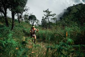 BIB: 
                            <button type="button" onclick="openModal(26085802)" class="btn btn-primary btn-sm float-right btn-popup" data-toggle="modal" data-target=".modal-high-quality">
                        <i class="fas fa-shopping-cart"></i> Add to Cart
                    </button>
                                            <button type="button" onclick="isThisMe(26085802, true)" class="btn btn-success btn-sm float-right btn-popup btn-isme hidden" data-toggle="tooltip" data-placement="bottom" title="นี่คือรูปของคุณใช่ไหม คลิกที่นี่เพื่อเอาเข้าอัลบั้ม">
                        <i class="fas fa-plus"></i> Add to album
                    </button>
                    <button type="button" onclick="isThisMe(26085802, false)" class="btn btn-warning btn-sm float-right btn-popup btn-isnotme hidden">
                        <i class="fas fa-ban"></i> Remove from album
                    </button>