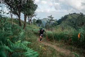 BIB: 
                            <button type="button" onclick="openModal(26121352)" class="btn btn-primary btn-sm float-right btn-popup" data-toggle="modal" data-target=".modal-high-quality">
                        <i class="fas fa-shopping-cart"></i> Add to Cart
                    </button>
                                            <button type="button" onclick="isThisMe(26121352, true)" class="btn btn-success btn-sm float-right btn-popup btn-isme hidden" data-toggle="tooltip" data-placement="bottom" title="นี่คือรูปของคุณใช่ไหม คลิกที่นี่เพื่อเอาเข้าอัลบั้ม">
                        <i class="fas fa-plus"></i> Add to album
                    </button>
                    <button type="button" onclick="isThisMe(26121352, false)" class="btn btn-warning btn-sm float-right btn-popup btn-isnotme hidden">
                        <i class="fas fa-ban"></i> Remove from album
                    </button>