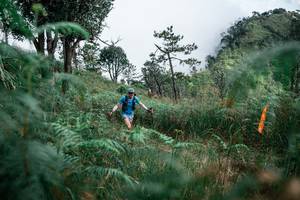 BIB: 
                            <button type="button" onclick="openModal(26089485)" class="btn btn-primary btn-sm float-right btn-popup" data-toggle="modal" data-target=".modal-high-quality">
                        <i class="fas fa-shopping-cart"></i> Add to Cart
                    </button>
                                            <button type="button" onclick="isThisMe(26089485, true)" class="btn btn-success btn-sm float-right btn-popup btn-isme hidden" data-toggle="tooltip" data-placement="bottom" title="นี่คือรูปของคุณใช่ไหม คลิกที่นี่เพื่อเอาเข้าอัลบั้ม">
                        <i class="fas fa-plus"></i> Add to album
                    </button>
                    <button type="button" onclick="isThisMe(26089485, false)" class="btn btn-warning btn-sm float-right btn-popup btn-isnotme hidden">
                        <i class="fas fa-ban"></i> Remove from album
                    </button>