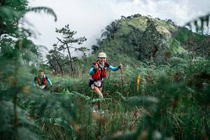 BIB: 
                            <button type="button" onclick="openModal(26089884)" class="btn btn-primary btn-sm float-right btn-popup" data-toggle="modal" data-target=".modal-high-quality">
                        <i class="fas fa-shopping-cart"></i> Add to Cart
                    </button>
                                            <button type="button" onclick="isThisMe(26089884, true)" class="btn btn-success btn-sm float-right btn-popup btn-isme hidden" data-toggle="tooltip" data-placement="bottom" title="นี่คือรูปของคุณใช่ไหม คลิกที่นี่เพื่อเอาเข้าอัลบั้ม">
                        <i class="fas fa-plus"></i> Add to album
                    </button>
                    <button type="button" onclick="isThisMe(26089884, false)" class="btn btn-warning btn-sm float-right btn-popup btn-isnotme hidden">
                        <i class="fas fa-ban"></i> Remove from album
                    </button>