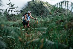 BIB: 
                            <button type="button" onclick="openModal(26088674)" class="btn btn-primary btn-sm float-right btn-popup" data-toggle="modal" data-target=".modal-high-quality">
                        <i class="fas fa-shopping-cart"></i> Add to Cart
                    </button>
                                            <button type="button" onclick="isThisMe(26088674, true)" class="btn btn-success btn-sm float-right btn-popup btn-isme hidden" data-toggle="tooltip" data-placement="bottom" title="นี่คือรูปของคุณใช่ไหม คลิกที่นี่เพื่อเอาเข้าอัลบั้ม">
                        <i class="fas fa-plus"></i> Add to album
                    </button>
                    <button type="button" onclick="isThisMe(26088674, false)" class="btn btn-warning btn-sm float-right btn-popup btn-isnotme hidden">
                        <i class="fas fa-ban"></i> Remove from album
                    </button>