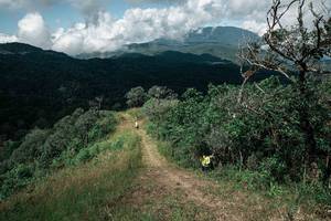 BIB: 
                            <button type="button" onclick="openModal(26085237)" class="btn btn-primary btn-sm float-right btn-popup" data-toggle="modal" data-target=".modal-high-quality">
                        <i class="fas fa-shopping-cart"></i> Add to Cart
                    </button>
                                            <button type="button" onclick="isThisMe(26085237, true)" class="btn btn-success btn-sm float-right btn-popup btn-isme hidden" data-toggle="tooltip" data-placement="bottom" title="นี่คือรูปของคุณใช่ไหม คลิกที่นี่เพื่อเอาเข้าอัลบั้ม">
                        <i class="fas fa-plus"></i> Add to album
                    </button>
                    <button type="button" onclick="isThisMe(26085237, false)" class="btn btn-warning btn-sm float-right btn-popup btn-isnotme hidden">
                        <i class="fas fa-ban"></i> Remove from album
                    </button>