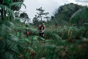 BIB: 
                            <button type="button" onclick="openModal(26088713)" class="btn btn-primary btn-sm float-right btn-popup" data-toggle="modal" data-target=".modal-high-quality">
                        <i class="fas fa-shopping-cart"></i> Add to Cart
                    </button>
                                            <button type="button" onclick="isThisMe(26088713, true)" class="btn btn-success btn-sm float-right btn-popup btn-isme hidden" data-toggle="tooltip" data-placement="bottom" title="นี่คือรูปของคุณใช่ไหม คลิกที่นี่เพื่อเอาเข้าอัลบั้ม">
                        <i class="fas fa-plus"></i> Add to album
                    </button>
                    <button type="button" onclick="isThisMe(26088713, false)" class="btn btn-warning btn-sm float-right btn-popup btn-isnotme hidden">
                        <i class="fas fa-ban"></i> Remove from album
                    </button>