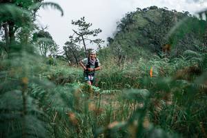 BIB: 
                            <button type="button" onclick="openModal(26089376)" class="btn btn-primary btn-sm float-right btn-popup" data-toggle="modal" data-target=".modal-high-quality">
                        <i class="fas fa-shopping-cart"></i> Add to Cart
                    </button>
                                            <button type="button" onclick="isThisMe(26089376, true)" class="btn btn-success btn-sm float-right btn-popup btn-isme hidden" data-toggle="tooltip" data-placement="bottom" title="นี่คือรูปของคุณใช่ไหม คลิกที่นี่เพื่อเอาเข้าอัลบั้ม">
                        <i class="fas fa-plus"></i> Add to album
                    </button>
                    <button type="button" onclick="isThisMe(26089376, false)" class="btn btn-warning btn-sm float-right btn-popup btn-isnotme hidden">
                        <i class="fas fa-ban"></i> Remove from album
                    </button>