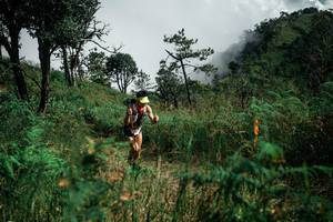 BIB: 
                            <button type="button" onclick="openModal(26085805)" class="btn btn-primary btn-sm float-right btn-popup" data-toggle="modal" data-target=".modal-high-quality">
                        <i class="fas fa-shopping-cart"></i> Add to Cart
                    </button>
                                            <button type="button" onclick="isThisMe(26085805, true)" class="btn btn-success btn-sm float-right btn-popup btn-isme hidden" data-toggle="tooltip" data-placement="bottom" title="นี่คือรูปของคุณใช่ไหม คลิกที่นี่เพื่อเอาเข้าอัลบั้ม">
                        <i class="fas fa-plus"></i> Add to album
                    </button>
                    <button type="button" onclick="isThisMe(26085805, false)" class="btn btn-warning btn-sm float-right btn-popup btn-isnotme hidden">
                        <i class="fas fa-ban"></i> Remove from album
                    </button>