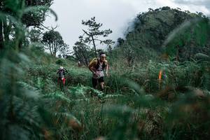 BIB: 
                            <button type="button" onclick="openModal(26088716)" class="btn btn-primary btn-sm float-right btn-popup" data-toggle="modal" data-target=".modal-high-quality">
                        <i class="fas fa-shopping-cart"></i> Add to Cart
                    </button>
                                            <button type="button" onclick="isThisMe(26088716, true)" class="btn btn-success btn-sm float-right btn-popup btn-isme hidden" data-toggle="tooltip" data-placement="bottom" title="นี่คือรูปของคุณใช่ไหม คลิกที่นี่เพื่อเอาเข้าอัลบั้ม">
                        <i class="fas fa-plus"></i> Add to album
                    </button>
                    <button type="button" onclick="isThisMe(26088716, false)" class="btn btn-warning btn-sm float-right btn-popup btn-isnotme hidden">
                        <i class="fas fa-ban"></i> Remove from album
                    </button>