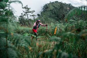 BIB: 
                            <button type="button" onclick="openModal(26089048)" class="btn btn-primary btn-sm float-right btn-popup" data-toggle="modal" data-target=".modal-high-quality">
                        <i class="fas fa-shopping-cart"></i> Add to Cart
                    </button>
                                            <button type="button" onclick="isThisMe(26089048, true)" class="btn btn-success btn-sm float-right btn-popup btn-isme hidden" data-toggle="tooltip" data-placement="bottom" title="นี่คือรูปของคุณใช่ไหม คลิกที่นี่เพื่อเอาเข้าอัลบั้ม">
                        <i class="fas fa-plus"></i> Add to album
                    </button>
                    <button type="button" onclick="isThisMe(26089048, false)" class="btn btn-warning btn-sm float-right btn-popup btn-isnotme hidden">
                        <i class="fas fa-ban"></i> Remove from album
                    </button>