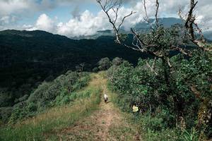 BIB: 
                            <button type="button" onclick="openModal(26085233)" class="btn btn-primary btn-sm float-right btn-popup" data-toggle="modal" data-target=".modal-high-quality">
                        <i class="fas fa-shopping-cart"></i> Add to Cart
                    </button>
                                            <button type="button" onclick="isThisMe(26085233, true)" class="btn btn-success btn-sm float-right btn-popup btn-isme hidden" data-toggle="tooltip" data-placement="bottom" title="นี่คือรูปของคุณใช่ไหม คลิกที่นี่เพื่อเอาเข้าอัลบั้ม">
                        <i class="fas fa-plus"></i> Add to album
                    </button>
                    <button type="button" onclick="isThisMe(26085233, false)" class="btn btn-warning btn-sm float-right btn-popup btn-isnotme hidden">
                        <i class="fas fa-ban"></i> Remove from album
                    </button>