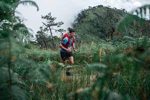 BIB: 
                            <button type="button" onclick="openModal(26089446)" class="btn btn-primary btn-sm float-right btn-popup" data-toggle="modal" data-target=".modal-high-quality">
                        <i class="fas fa-shopping-cart"></i> Add to Cart
                    </button>
                                            <button type="button" onclick="isThisMe(26089446, true)" class="btn btn-success btn-sm float-right btn-popup btn-isme hidden" data-toggle="tooltip" data-placement="bottom" title="นี่คือรูปของคุณใช่ไหม คลิกที่นี่เพื่อเอาเข้าอัลบั้ม">
                        <i class="fas fa-plus"></i> Add to album
                    </button>
                    <button type="button" onclick="isThisMe(26089446, false)" class="btn btn-warning btn-sm float-right btn-popup btn-isnotme hidden">
                        <i class="fas fa-ban"></i> Remove from album
                    </button>