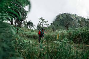 BIB: 
                            <button type="button" onclick="openModal(26085324)" class="btn btn-primary btn-sm float-right btn-popup" data-toggle="modal" data-target=".modal-high-quality">
                        <i class="fas fa-shopping-cart"></i> Add to Cart
                    </button>
                                            <button type="button" onclick="isThisMe(26085324, true)" class="btn btn-success btn-sm float-right btn-popup btn-isme hidden" data-toggle="tooltip" data-placement="bottom" title="นี่คือรูปของคุณใช่ไหม คลิกที่นี่เพื่อเอาเข้าอัลบั้ม">
                        <i class="fas fa-plus"></i> Add to album
                    </button>
                    <button type="button" onclick="isThisMe(26085324, false)" class="btn btn-warning btn-sm float-right btn-popup btn-isnotme hidden">
                        <i class="fas fa-ban"></i> Remove from album
                    </button>