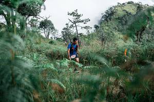 BIB: 
                            <button type="button" onclick="openModal(26088915)" class="btn btn-primary btn-sm float-right btn-popup" data-toggle="modal" data-target=".modal-high-quality">
                        <i class="fas fa-shopping-cart"></i> Add to Cart
                    </button>
                                            <button type="button" onclick="isThisMe(26088915, true)" class="btn btn-success btn-sm float-right btn-popup btn-isme hidden" data-toggle="tooltip" data-placement="bottom" title="นี่คือรูปของคุณใช่ไหม คลิกที่นี่เพื่อเอาเข้าอัลบั้ม">
                        <i class="fas fa-plus"></i> Add to album
                    </button>
                    <button type="button" onclick="isThisMe(26088915, false)" class="btn btn-warning btn-sm float-right btn-popup btn-isnotme hidden">
                        <i class="fas fa-ban"></i> Remove from album
                    </button>