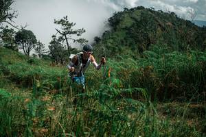 BIB: 
                            <button type="button" onclick="openModal(26087096)" class="btn btn-primary btn-sm float-right btn-popup" data-toggle="modal" data-target=".modal-high-quality">
                        <i class="fas fa-shopping-cart"></i> Add to Cart
                    </button>
                                            <button type="button" onclick="isThisMe(26087096, true)" class="btn btn-success btn-sm float-right btn-popup btn-isme hidden" data-toggle="tooltip" data-placement="bottom" title="นี่คือรูปของคุณใช่ไหม คลิกที่นี่เพื่อเอาเข้าอัลบั้ม">
                        <i class="fas fa-plus"></i> Add to album
                    </button>
                    <button type="button" onclick="isThisMe(26087096, false)" class="btn btn-warning btn-sm float-right btn-popup btn-isnotme hidden">
                        <i class="fas fa-ban"></i> Remove from album
                    </button>