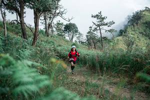 BIB: 
                            <button type="button" onclick="openModal(26098390)" class="btn btn-primary btn-sm float-right btn-popup" data-toggle="modal" data-target=".modal-high-quality">
                        <i class="fas fa-shopping-cart"></i> Add to Cart
                    </button>
                                            <button type="button" onclick="isThisMe(26098390, true)" class="btn btn-success btn-sm float-right btn-popup btn-isme hidden" data-toggle="tooltip" data-placement="bottom" title="นี่คือรูปของคุณใช่ไหม คลิกที่นี่เพื่อเอาเข้าอัลบั้ม">
                        <i class="fas fa-plus"></i> Add to album
                    </button>
                    <button type="button" onclick="isThisMe(26098390, false)" class="btn btn-warning btn-sm float-right btn-popup btn-isnotme hidden">
                        <i class="fas fa-ban"></i> Remove from album
                    </button>