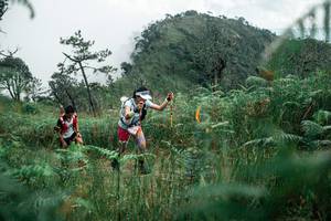 BIB: 
                            <button type="button" onclick="openModal(26086753)" class="btn btn-primary btn-sm float-right btn-popup" data-toggle="modal" data-target=".modal-high-quality">
                        <i class="fas fa-shopping-cart"></i> Add to Cart
                    </button>
                                            <button type="button" onclick="isThisMe(26086753, true)" class="btn btn-success btn-sm float-right btn-popup btn-isme hidden" data-toggle="tooltip" data-placement="bottom" title="นี่คือรูปของคุณใช่ไหม คลิกที่นี่เพื่อเอาเข้าอัลบั้ม">
                        <i class="fas fa-plus"></i> Add to album
                    </button>
                    <button type="button" onclick="isThisMe(26086753, false)" class="btn btn-warning btn-sm float-right btn-popup btn-isnotme hidden">
                        <i class="fas fa-ban"></i> Remove from album
                    </button>