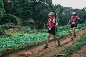 BIB: 
                            <button type="button" onclick="openModal(25425821)" class="btn btn-primary btn-sm float-right btn-popup" data-toggle="modal" data-target=".modal-high-quality">
                        <i class="fas fa-shopping-cart"></i> Add to Cart
                    </button>
                                            <button type="button" onclick="isThisMe(25425821, true)" class="btn btn-success btn-sm float-right btn-popup btn-isme hidden" data-toggle="tooltip" data-placement="bottom" title="นี่คือรูปของคุณใช่ไหม คลิกที่นี่เพื่อเอาเข้าอัลบั้ม">
                        <i class="fas fa-plus"></i> Add to album
                    </button>
                    <button type="button" onclick="isThisMe(25425821, false)" class="btn btn-warning btn-sm float-right btn-popup btn-isnotme hidden">
                        <i class="fas fa-ban"></i> Remove from album
                    </button>