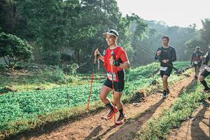 BIB: 
                            <button type="button" onclick="openModal(25438469)" class="btn btn-primary btn-sm float-right btn-popup" data-toggle="modal" data-target=".modal-high-quality">
                        <i class="fas fa-shopping-cart"></i> Add to Cart
                    </button>
                                            <button type="button" onclick="isThisMe(25438469, true)" class="btn btn-success btn-sm float-right btn-popup btn-isme hidden" data-toggle="tooltip" data-placement="bottom" title="นี่คือรูปของคุณใช่ไหม คลิกที่นี่เพื่อเอาเข้าอัลบั้ม">
                        <i class="fas fa-plus"></i> Add to album
                    </button>
                    <button type="button" onclick="isThisMe(25438469, false)" class="btn btn-warning btn-sm float-right btn-popup btn-isnotme hidden">
                        <i class="fas fa-ban"></i> Remove from album
                    </button>