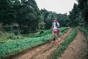 BIB: 
                            <button type="button" onclick="openModal(25412041)" class="btn btn-primary btn-sm float-right btn-popup" data-toggle="modal" data-target=".modal-high-quality">
                        <i class="fas fa-shopping-cart"></i> Add to Cart
                    </button>
                                            <button type="button" onclick="isThisMe(25412041, true)" class="btn btn-success btn-sm float-right btn-popup btn-isme hidden" data-toggle="tooltip" data-placement="bottom" title="นี่คือรูปของคุณใช่ไหม คลิกที่นี่เพื่อเอาเข้าอัลบั้ม">
                        <i class="fas fa-plus"></i> Add to album
                    </button>
                    <button type="button" onclick="isThisMe(25412041, false)" class="btn btn-warning btn-sm float-right btn-popup btn-isnotme hidden">
                        <i class="fas fa-ban"></i> Remove from album
                    </button>