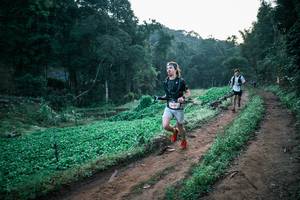 BIB: 
                            <button type="button" onclick="openModal(25561409)" class="btn btn-primary btn-sm float-right btn-popup" data-toggle="modal" data-target=".modal-high-quality">
                        <i class="fas fa-shopping-cart"></i> Add to Cart
                    </button>
                                            <button type="button" onclick="isThisMe(25561409, true)" class="btn btn-success btn-sm float-right btn-popup btn-isme hidden" data-toggle="tooltip" data-placement="bottom" title="นี่คือรูปของคุณใช่ไหม คลิกที่นี่เพื่อเอาเข้าอัลบั้ม">
                        <i class="fas fa-plus"></i> Add to album
                    </button>
                    <button type="button" onclick="isThisMe(25561409, false)" class="btn btn-warning btn-sm float-right btn-popup btn-isnotme hidden">
                        <i class="fas fa-ban"></i> Remove from album
                    </button>