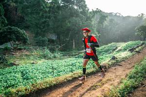 BIB: 
                            <button type="button" onclick="openModal(25454313)" class="btn btn-primary btn-sm float-right btn-popup" data-toggle="modal" data-target=".modal-high-quality">
                        <i class="fas fa-shopping-cart"></i> Add to Cart
                    </button>
                                            <button type="button" onclick="isThisMe(25454313, true)" class="btn btn-success btn-sm float-right btn-popup btn-isme hidden" data-toggle="tooltip" data-placement="bottom" title="นี่คือรูปของคุณใช่ไหม คลิกที่นี่เพื่อเอาเข้าอัลบั้ม">
                        <i class="fas fa-plus"></i> Add to album
                    </button>
                    <button type="button" onclick="isThisMe(25454313, false)" class="btn btn-warning btn-sm float-right btn-popup btn-isnotme hidden">
                        <i class="fas fa-ban"></i> Remove from album
                    </button>