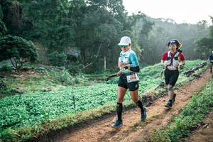 BIB: 
                            <button type="button" onclick="openModal(25453190)" class="btn btn-primary btn-sm float-right btn-popup" data-toggle="modal" data-target=".modal-high-quality">
                        <i class="fas fa-shopping-cart"></i> Add to Cart
                    </button>
                                            <button type="button" onclick="isThisMe(25453190, true)" class="btn btn-success btn-sm float-right btn-popup btn-isme hidden" data-toggle="tooltip" data-placement="bottom" title="นี่คือรูปของคุณใช่ไหม คลิกที่นี่เพื่อเอาเข้าอัลบั้ม">
                        <i class="fas fa-plus"></i> Add to album
                    </button>
                    <button type="button" onclick="isThisMe(25453190, false)" class="btn btn-warning btn-sm float-right btn-popup btn-isnotme hidden">
                        <i class="fas fa-ban"></i> Remove from album
                    </button>