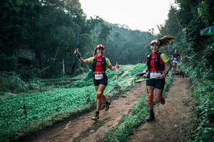 BIB: 
                            <button type="button" onclick="openModal(25483458)" class="btn btn-primary btn-sm float-right btn-popup" data-toggle="modal" data-target=".modal-high-quality">
                        <i class="fas fa-shopping-cart"></i> Add to Cart
                    </button>
                                            <button type="button" onclick="isThisMe(25483458, true)" class="btn btn-success btn-sm float-right btn-popup btn-isme hidden" data-toggle="tooltip" data-placement="bottom" title="นี่คือรูปของคุณใช่ไหม คลิกที่นี่เพื่อเอาเข้าอัลบั้ม">
                        <i class="fas fa-plus"></i> Add to album
                    </button>
                    <button type="button" onclick="isThisMe(25483458, false)" class="btn btn-warning btn-sm float-right btn-popup btn-isnotme hidden">
                        <i class="fas fa-ban"></i> Remove from album
                    </button>