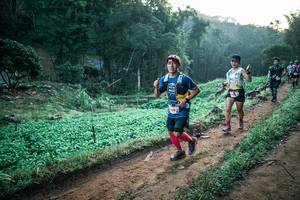 BIB: 
                            <button type="button" onclick="openModal(25481609)" class="btn btn-primary btn-sm float-right btn-popup" data-toggle="modal" data-target=".modal-high-quality">
                        <i class="fas fa-shopping-cart"></i> Add to Cart
                    </button>
                                            <button type="button" onclick="isThisMe(25481609, true)" class="btn btn-success btn-sm float-right btn-popup btn-isme hidden" data-toggle="tooltip" data-placement="bottom" title="นี่คือรูปของคุณใช่ไหม คลิกที่นี่เพื่อเอาเข้าอัลบั้ม">
                        <i class="fas fa-plus"></i> Add to album
                    </button>
                    <button type="button" onclick="isThisMe(25481609, false)" class="btn btn-warning btn-sm float-right btn-popup btn-isnotme hidden">
                        <i class="fas fa-ban"></i> Remove from album
                    </button>