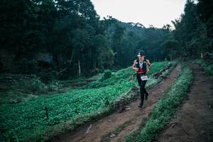 BIB: 
                            <button type="button" onclick="openModal(25578065)" class="btn btn-primary btn-sm float-right btn-popup" data-toggle="modal" data-target=".modal-high-quality">
                        <i class="fas fa-shopping-cart"></i> Add to Cart
                    </button>
                                            <button type="button" onclick="isThisMe(25578065, true)" class="btn btn-success btn-sm float-right btn-popup btn-isme hidden" data-toggle="tooltip" data-placement="bottom" title="นี่คือรูปของคุณใช่ไหม คลิกที่นี่เพื่อเอาเข้าอัลบั้ม">
                        <i class="fas fa-plus"></i> Add to album
                    </button>
                    <button type="button" onclick="isThisMe(25578065, false)" class="btn btn-warning btn-sm float-right btn-popup btn-isnotme hidden">
                        <i class="fas fa-ban"></i> Remove from album
                    </button>