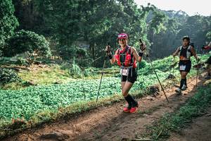 BIB: 
                            <button type="button" onclick="openModal(25417066)" class="btn btn-primary btn-sm float-right btn-popup" data-toggle="modal" data-target=".modal-high-quality">
                        <i class="fas fa-shopping-cart"></i> Add to Cart
                    </button>
                                            <button type="button" onclick="isThisMe(25417066, true)" class="btn btn-success btn-sm float-right btn-popup btn-isme hidden" data-toggle="tooltip" data-placement="bottom" title="นี่คือรูปของคุณใช่ไหม คลิกที่นี่เพื่อเอาเข้าอัลบั้ม">
                        <i class="fas fa-plus"></i> Add to album
                    </button>
                    <button type="button" onclick="isThisMe(25417066, false)" class="btn btn-warning btn-sm float-right btn-popup btn-isnotme hidden">
                        <i class="fas fa-ban"></i> Remove from album
                    </button>