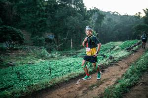 BIB: 
                            <button type="button" onclick="openModal(25505855)" class="btn btn-primary btn-sm float-right btn-popup" data-toggle="modal" data-target=".modal-high-quality">
                        <i class="fas fa-shopping-cart"></i> Add to Cart
                    </button>
                                            <button type="button" onclick="isThisMe(25505855, true)" class="btn btn-success btn-sm float-right btn-popup btn-isme hidden" data-toggle="tooltip" data-placement="bottom" title="นี่คือรูปของคุณใช่ไหม คลิกที่นี่เพื่อเอาเข้าอัลบั้ม">
                        <i class="fas fa-plus"></i> Add to album
                    </button>
                    <button type="button" onclick="isThisMe(25505855, false)" class="btn btn-warning btn-sm float-right btn-popup btn-isnotme hidden">
                        <i class="fas fa-ban"></i> Remove from album
                    </button>