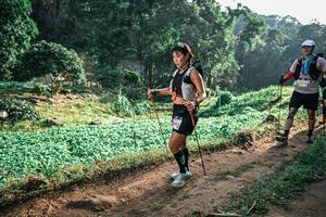 BIB: 
                            <button type="button" onclick="openModal(25417032)" class="btn btn-primary btn-sm float-right btn-popup" data-toggle="modal" data-target=".modal-high-quality">
                        <i class="fas fa-shopping-cart"></i> Add to Cart
                    </button>
                                            <button type="button" onclick="isThisMe(25417032, true)" class="btn btn-success btn-sm float-right btn-popup btn-isme hidden" data-toggle="tooltip" data-placement="bottom" title="นี่คือรูปของคุณใช่ไหม คลิกที่นี่เพื่อเอาเข้าอัลบั้ม">
                        <i class="fas fa-plus"></i> Add to album
                    </button>
                    <button type="button" onclick="isThisMe(25417032, false)" class="btn btn-warning btn-sm float-right btn-popup btn-isnotme hidden">
                        <i class="fas fa-ban"></i> Remove from album
                    </button>