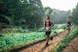 BIB: 
                            <button type="button" onclick="openModal(25453787)" class="btn btn-primary btn-sm float-right btn-popup" data-toggle="modal" data-target=".modal-high-quality">
                        <i class="fas fa-shopping-cart"></i> Add to Cart
                    </button>
                                            <button type="button" onclick="isThisMe(25453787, true)" class="btn btn-success btn-sm float-right btn-popup btn-isme hidden" data-toggle="tooltip" data-placement="bottom" title="นี่คือรูปของคุณใช่ไหม คลิกที่นี่เพื่อเอาเข้าอัลบั้ม">
                        <i class="fas fa-plus"></i> Add to album
                    </button>
                    <button type="button" onclick="isThisMe(25453787, false)" class="btn btn-warning btn-sm float-right btn-popup btn-isnotme hidden">
                        <i class="fas fa-ban"></i> Remove from album
                    </button>