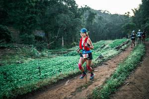 BIB: 
                            <button type="button" onclick="openModal(25516170)" class="btn btn-primary btn-sm float-right btn-popup" data-toggle="modal" data-target=".modal-high-quality">
                        <i class="fas fa-shopping-cart"></i> Add to Cart
                    </button>
                                            <button type="button" onclick="isThisMe(25516170, true)" class="btn btn-success btn-sm float-right btn-popup btn-isme hidden" data-toggle="tooltip" data-placement="bottom" title="นี่คือรูปของคุณใช่ไหม คลิกที่นี่เพื่อเอาเข้าอัลบั้ม">
                        <i class="fas fa-plus"></i> Add to album
                    </button>
                    <button type="button" onclick="isThisMe(25516170, false)" class="btn btn-warning btn-sm float-right btn-popup btn-isnotme hidden">
                        <i class="fas fa-ban"></i> Remove from album
                    </button>