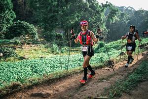 BIB: 
                            <button type="button" onclick="openModal(25417056)" class="btn btn-primary btn-sm float-right btn-popup" data-toggle="modal" data-target=".modal-high-quality">
                        <i class="fas fa-shopping-cart"></i> Add to Cart
                    </button>
                                            <button type="button" onclick="isThisMe(25417056, true)" class="btn btn-success btn-sm float-right btn-popup btn-isme hidden" data-toggle="tooltip" data-placement="bottom" title="นี่คือรูปของคุณใช่ไหม คลิกที่นี่เพื่อเอาเข้าอัลบั้ม">
                        <i class="fas fa-plus"></i> Add to album
                    </button>
                    <button type="button" onclick="isThisMe(25417056, false)" class="btn btn-warning btn-sm float-right btn-popup btn-isnotme hidden">
                        <i class="fas fa-ban"></i> Remove from album
                    </button>