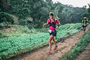 BIB: 
                            <button type="button" onclick="openModal(25443627)" class="btn btn-primary btn-sm float-right btn-popup" data-toggle="modal" data-target=".modal-high-quality">
                        <i class="fas fa-shopping-cart"></i> Add to Cart
                    </button>
                                            <button type="button" onclick="isThisMe(25443627, true)" class="btn btn-success btn-sm float-right btn-popup btn-isme hidden" data-toggle="tooltip" data-placement="bottom" title="นี่คือรูปของคุณใช่ไหม คลิกที่นี่เพื่อเอาเข้าอัลบั้ม">
                        <i class="fas fa-plus"></i> Add to album
                    </button>
                    <button type="button" onclick="isThisMe(25443627, false)" class="btn btn-warning btn-sm float-right btn-popup btn-isnotme hidden">
                        <i class="fas fa-ban"></i> Remove from album
                    </button>