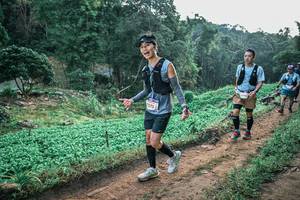 BIB: 
                            <button type="button" onclick="openModal(25436416)" class="btn btn-primary btn-sm float-right btn-popup" data-toggle="modal" data-target=".modal-high-quality">
                        <i class="fas fa-shopping-cart"></i> Add to Cart
                    </button>
                                            <button type="button" onclick="isThisMe(25436416, true)" class="btn btn-success btn-sm float-right btn-popup btn-isme hidden" data-toggle="tooltip" data-placement="bottom" title="นี่คือรูปของคุณใช่ไหม คลิกที่นี่เพื่อเอาเข้าอัลบั้ม">
                        <i class="fas fa-plus"></i> Add to album
                    </button>
                    <button type="button" onclick="isThisMe(25436416, false)" class="btn btn-warning btn-sm float-right btn-popup btn-isnotme hidden">
                        <i class="fas fa-ban"></i> Remove from album
                    </button>