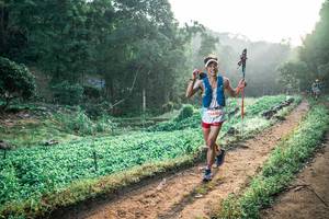 BIB: 
                            <button type="button" onclick="openModal(25464185)" class="btn btn-primary btn-sm float-right btn-popup" data-toggle="modal" data-target=".modal-high-quality">
                        <i class="fas fa-shopping-cart"></i> Add to Cart
                    </button>
                                            <button type="button" onclick="isThisMe(25464185, true)" class="btn btn-success btn-sm float-right btn-popup btn-isme hidden" data-toggle="tooltip" data-placement="bottom" title="นี่คือรูปของคุณใช่ไหม คลิกที่นี่เพื่อเอาเข้าอัลบั้ม">
                        <i class="fas fa-plus"></i> Add to album
                    </button>
                    <button type="button" onclick="isThisMe(25464185, false)" class="btn btn-warning btn-sm float-right btn-popup btn-isnotme hidden">
                        <i class="fas fa-ban"></i> Remove from album
                    </button>