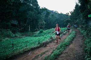 BIB: 
                            <button type="button" onclick="openModal(25571688)" class="btn btn-primary btn-sm float-right btn-popup" data-toggle="modal" data-target=".modal-high-quality">
                        <i class="fas fa-shopping-cart"></i> Add to Cart
                    </button>
                                            <button type="button" onclick="isThisMe(25571688, true)" class="btn btn-success btn-sm float-right btn-popup btn-isme hidden" data-toggle="tooltip" data-placement="bottom" title="นี่คือรูปของคุณใช่ไหม คลิกที่นี่เพื่อเอาเข้าอัลบั้ม">
                        <i class="fas fa-plus"></i> Add to album
                    </button>
                    <button type="button" onclick="isThisMe(25571688, false)" class="btn btn-warning btn-sm float-right btn-popup btn-isnotme hidden">
                        <i class="fas fa-ban"></i> Remove from album
                    </button>