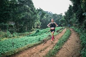 BIB: 
                            <button type="button" onclick="openModal(25413281)" class="btn btn-primary btn-sm float-right btn-popup" data-toggle="modal" data-target=".modal-high-quality">
                        <i class="fas fa-shopping-cart"></i> Add to Cart
                    </button>
                                            <button type="button" onclick="isThisMe(25413281, true)" class="btn btn-success btn-sm float-right btn-popup btn-isme hidden" data-toggle="tooltip" data-placement="bottom" title="นี่คือรูปของคุณใช่ไหม คลิกที่นี่เพื่อเอาเข้าอัลบั้ม">
                        <i class="fas fa-plus"></i> Add to album
                    </button>
                    <button type="button" onclick="isThisMe(25413281, false)" class="btn btn-warning btn-sm float-right btn-popup btn-isnotme hidden">
                        <i class="fas fa-ban"></i> Remove from album
                    </button>