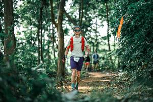 BIB: 
                            <button type="button" onclick="openModal(26046949)" class="btn btn-primary btn-sm float-right btn-popup" data-toggle="modal" data-target=".modal-high-quality">
                        <i class="fas fa-shopping-cart"></i> Add to Cart
                    </button>
                                            <button type="button" onclick="isThisMe(26046949, true)" class="btn btn-success btn-sm float-right btn-popup btn-isme hidden" data-toggle="tooltip" data-placement="bottom" title="นี่คือรูปของคุณใช่ไหม คลิกที่นี่เพื่อเอาเข้าอัลบั้ม">
                        <i class="fas fa-plus"></i> Add to album
                    </button>
                    <button type="button" onclick="isThisMe(26046949, false)" class="btn btn-warning btn-sm float-right btn-popup btn-isnotme hidden">
                        <i class="fas fa-ban"></i> Remove from album
                    </button>