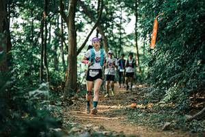 BIB: 
                            <button type="button" onclick="openModal(26046043)" class="btn btn-primary btn-sm float-right btn-popup" data-toggle="modal" data-target=".modal-high-quality">
                        <i class="fas fa-shopping-cart"></i> Add to Cart
                    </button>
                                            <button type="button" onclick="isThisMe(26046043, true)" class="btn btn-success btn-sm float-right btn-popup btn-isme hidden" data-toggle="tooltip" data-placement="bottom" title="นี่คือรูปของคุณใช่ไหม คลิกที่นี่เพื่อเอาเข้าอัลบั้ม">
                        <i class="fas fa-plus"></i> Add to album
                    </button>
                    <button type="button" onclick="isThisMe(26046043, false)" class="btn btn-warning btn-sm float-right btn-popup btn-isnotme hidden">
                        <i class="fas fa-ban"></i> Remove from album
                    </button>