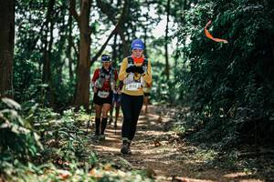 BIB: 
                            <button type="button" onclick="openModal(26069680)" class="btn btn-primary btn-sm float-right btn-popup" data-toggle="modal" data-target=".modal-high-quality">
                        <i class="fas fa-shopping-cart"></i> Add to Cart
                    </button>
                                            <button type="button" onclick="isThisMe(26069680, true)" class="btn btn-success btn-sm float-right btn-popup btn-isme hidden" data-toggle="tooltip" data-placement="bottom" title="นี่คือรูปของคุณใช่ไหม คลิกที่นี่เพื่อเอาเข้าอัลบั้ม">
                        <i class="fas fa-plus"></i> Add to album
                    </button>
                    <button type="button" onclick="isThisMe(26069680, false)" class="btn btn-warning btn-sm float-right btn-popup btn-isnotme hidden">
                        <i class="fas fa-ban"></i> Remove from album
                    </button>