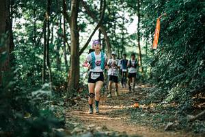 BIB: 
                            <button type="button" onclick="openModal(26046035)" class="btn btn-primary btn-sm float-right btn-popup" data-toggle="modal" data-target=".modal-high-quality">
                        <i class="fas fa-shopping-cart"></i> Add to Cart
                    </button>
                                            <button type="button" onclick="isThisMe(26046035, true)" class="btn btn-success btn-sm float-right btn-popup btn-isme hidden" data-toggle="tooltip" data-placement="bottom" title="นี่คือรูปของคุณใช่ไหม คลิกที่นี่เพื่อเอาเข้าอัลบั้ม">
                        <i class="fas fa-plus"></i> Add to album
                    </button>
                    <button type="button" onclick="isThisMe(26046035, false)" class="btn btn-warning btn-sm float-right btn-popup btn-isnotme hidden">
                        <i class="fas fa-ban"></i> Remove from album
                    </button>