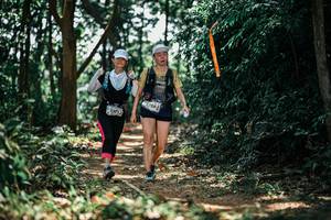 BIB: 
                            <button type="button" onclick="openModal(26069578)" class="btn btn-primary btn-sm float-right btn-popup" data-toggle="modal" data-target=".modal-high-quality">
                        <i class="fas fa-shopping-cart"></i> Add to Cart
                    </button>
                                            <button type="button" onclick="isThisMe(26069578, true)" class="btn btn-success btn-sm float-right btn-popup btn-isme hidden" data-toggle="tooltip" data-placement="bottom" title="นี่คือรูปของคุณใช่ไหม คลิกที่นี่เพื่อเอาเข้าอัลบั้ม">
                        <i class="fas fa-plus"></i> Add to album
                    </button>
                    <button type="button" onclick="isThisMe(26069578, false)" class="btn btn-warning btn-sm float-right btn-popup btn-isnotme hidden">
                        <i class="fas fa-ban"></i> Remove from album
                    </button>